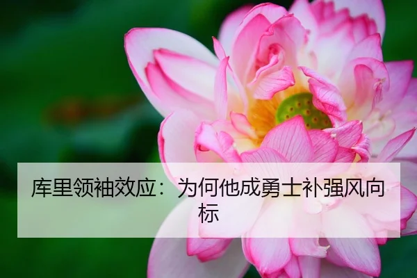 库里领袖效应：为何他成勇士补强风向标