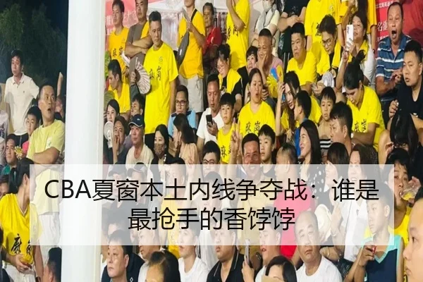 CBA夏窗本土内线争夺战：谁是最抢手的香饽饽